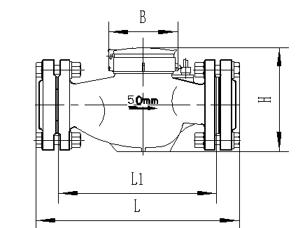 Rotor type water meter